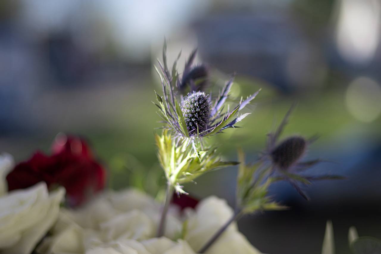 Floral arrangement — handcrafted with fresh seasonal blooms